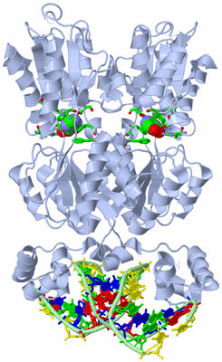 Image Biol. Unit 1 - sites