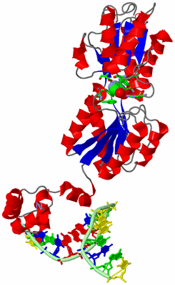 Image Asym. Unit - sites