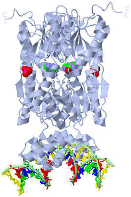 Image Biological Unit 1