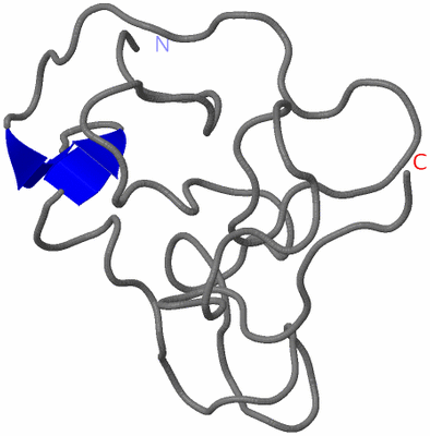 Image NMR Structure - model 1