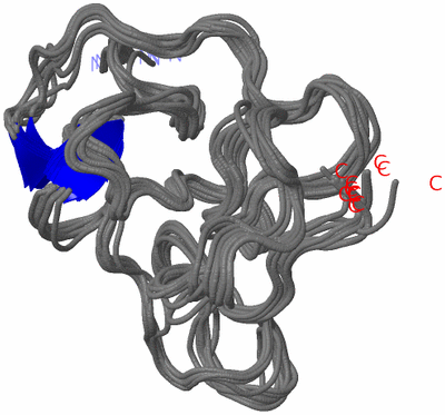 Image NMR Structure - all models