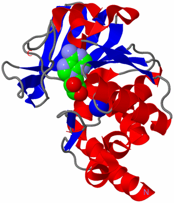 Image Asym./Biol. Unit