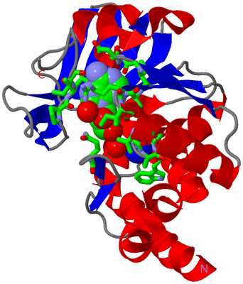 Image Asym./Biol. Unit - sites