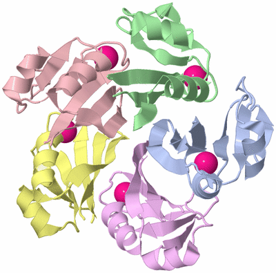 Image Asym./Biol. Unit