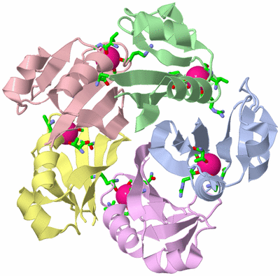 Image Asym./Biol. Unit - sites