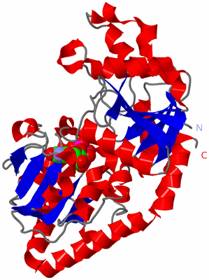 Image Asym./Biol. Unit