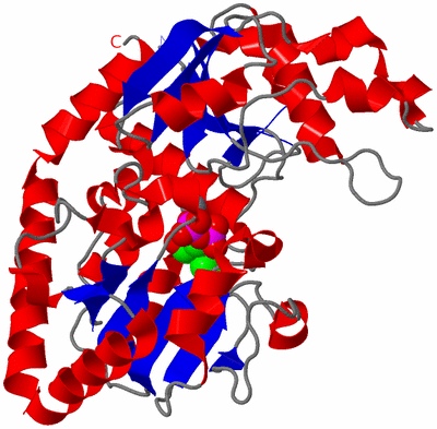 Image Asym./Biol. Unit