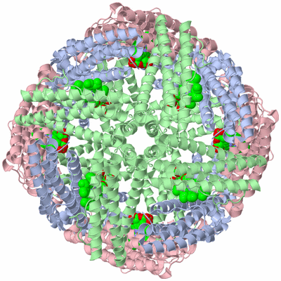 Image Biological Unit 1