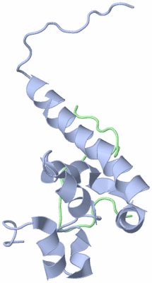 Image NMR Structure - model 1