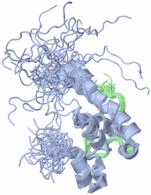 Image NMR Structure - all models