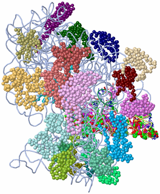 Image Asym./Biol. Unit