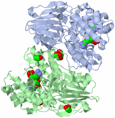 Image Asym./Biol. Unit