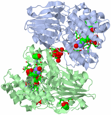 Image Asym./Biol. Unit - sites