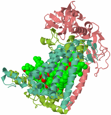 Image Asym./Biol. Unit