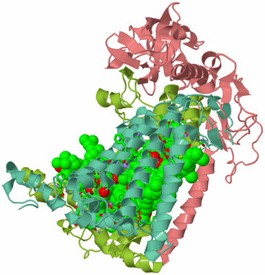 Image Asym./Biol. Unit - sites