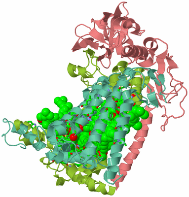 Image Asym./Biol. Unit - sites