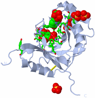 Image Biol. Unit 1 - sites