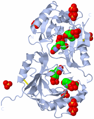 Image Biological Unit 3