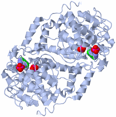 Image Biological Unit 1