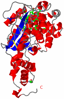 Image Asym. Unit - sites