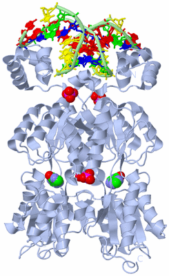 Image Biological Unit 1