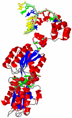 Image Asym. Unit - sites