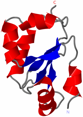 Image NMR Structure - model 1