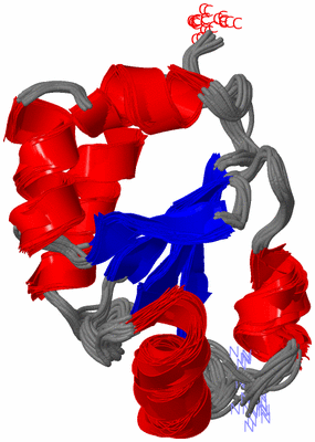 Image NMR Structure - all models