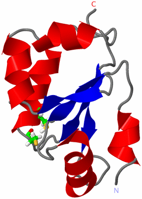 Image NMR Structure - model 1, sites