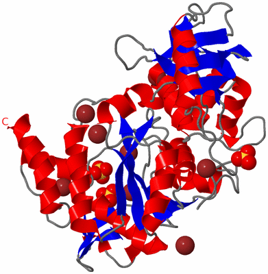 Image Asymmetric Unit