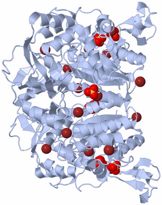 Image Biological Unit 1