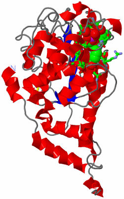 Image Asym. Unit - sites