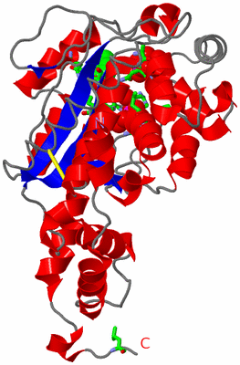 Image Asym. Unit - sites