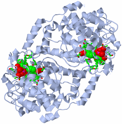 Image Biol. Unit 1 - sites