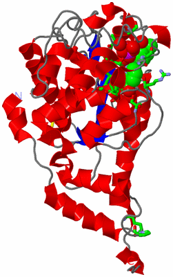 Image Asym. Unit - sites