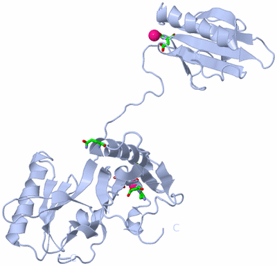 Image Biol. Unit 1 - sites