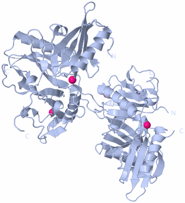 Image Biological Unit 2