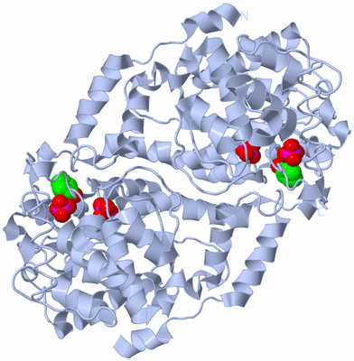 Image Biological Unit 1