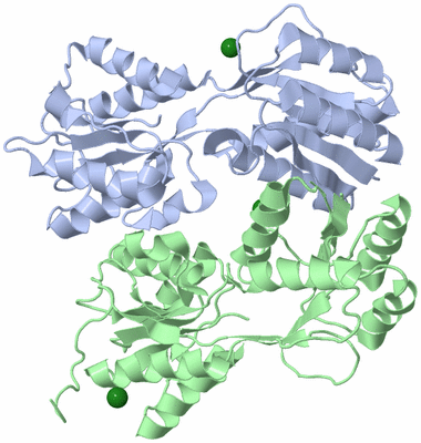 Image Asym./Biol. Unit