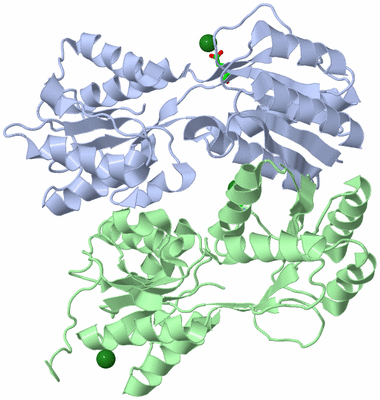 Image Asym./Biol. Unit - sites