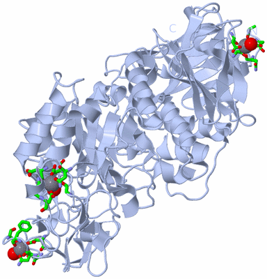 Image Biol. Unit 1 - sites