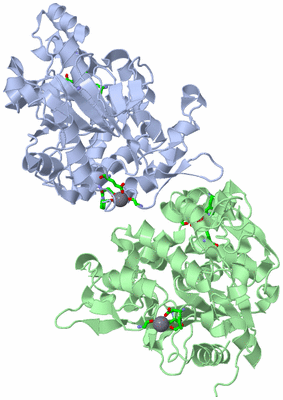 Image Asym./Biol. Unit - sites