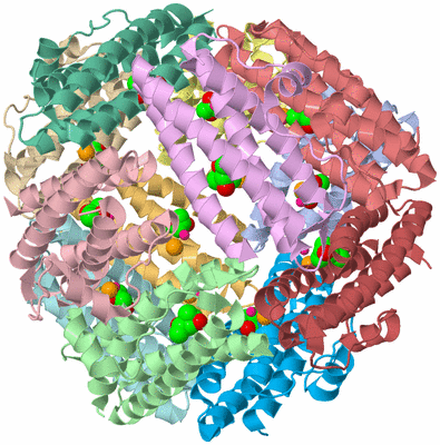 Image Asym./Biol. Unit