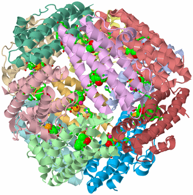 Image Asym./Biol. Unit - sites