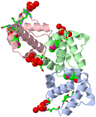 Image Asym./Biol. Unit - sites