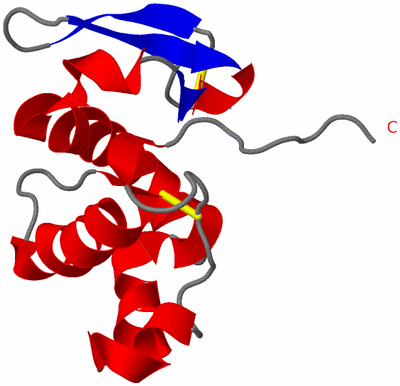 Image NMR Structure - model 1