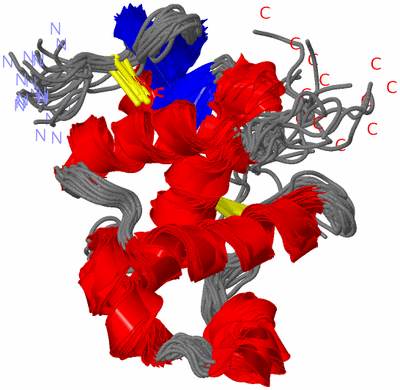 Image NMR Structure - all models