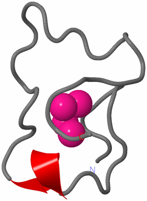 Image NMR Structure - model 1