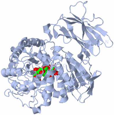 Image Biological Unit 1