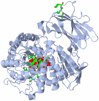 Image Biol. Unit 1 - sites